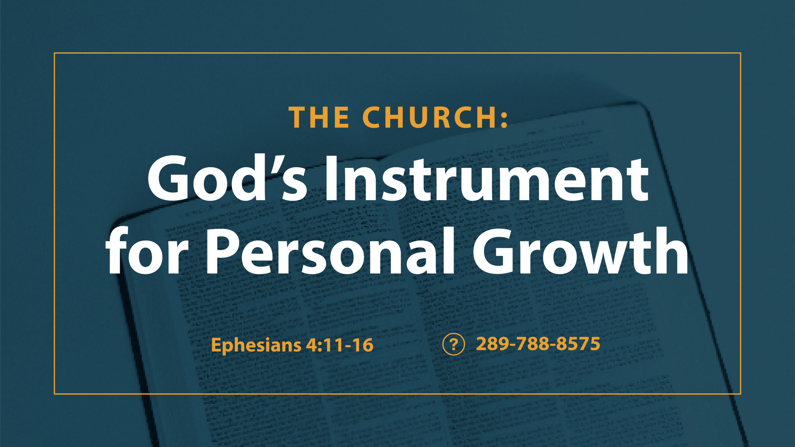 Join Us Sunday February 15th @ 1 pm!